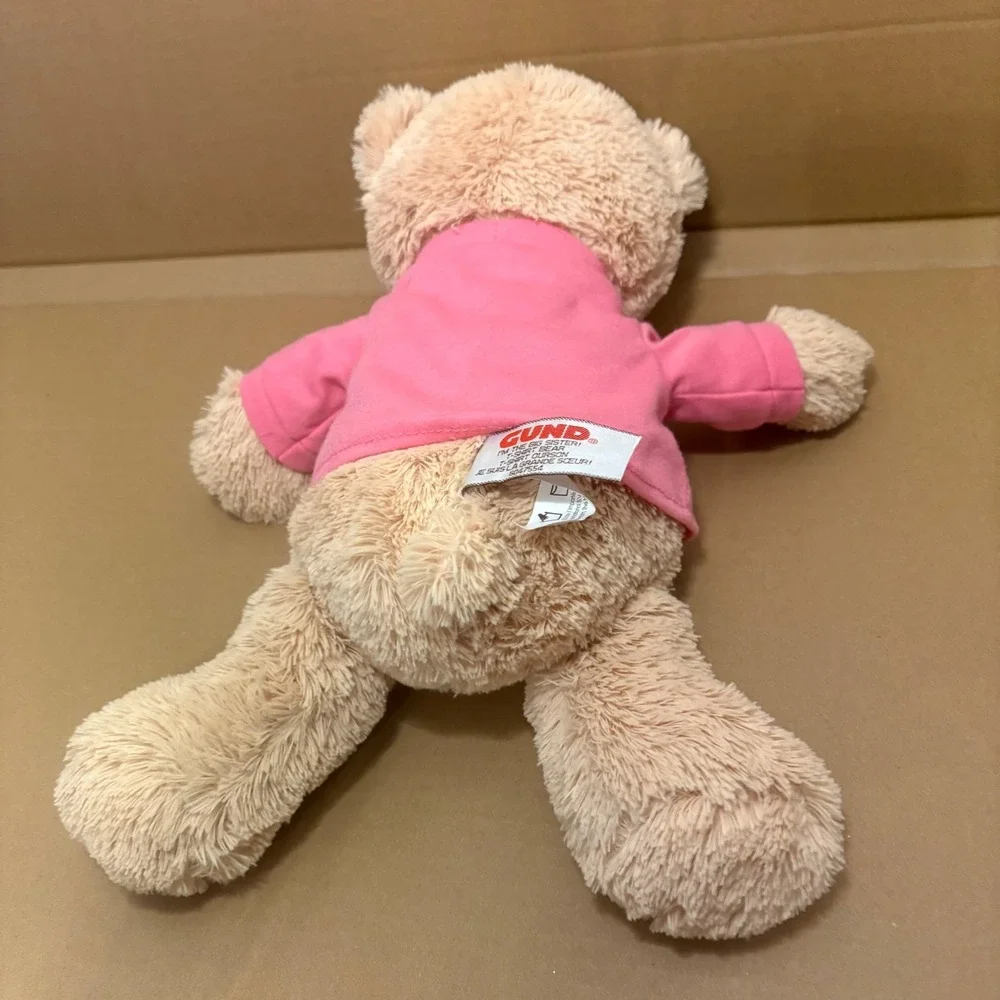 Gund I'm The Big Sister Teddy Bear Plush Stuffed Animal‎ Toy Gift Pink Shirt